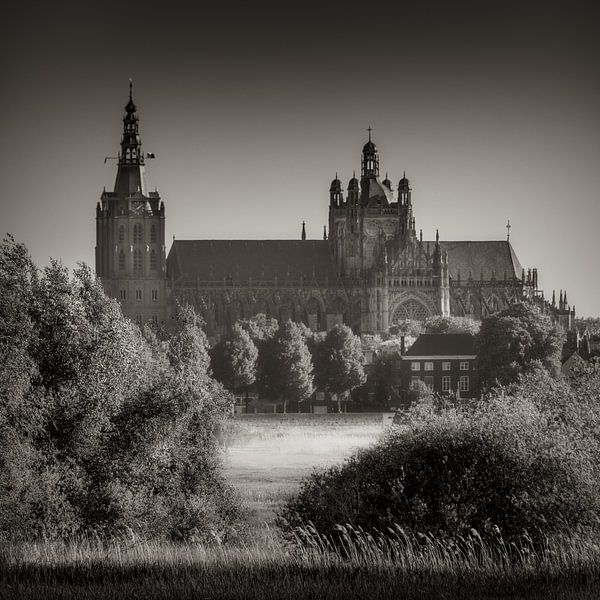 Sint-Janskathedraal van Ruud Peters