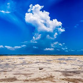 Thunderclouds on the beach of Zanzibar in a clear blue sky by Erwin Floor