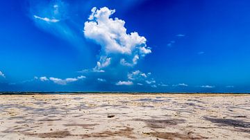 Onweerswolken op het strand van Zanzibar bij strak blauwe lucht van Erwin Floor