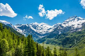 Alpen in Österreich im Frühling