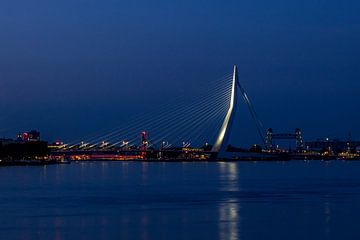 Erasmus-Brücke beleuchtet