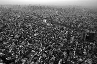 Streets of Tokyo van Alexander van der Linden thumbnail