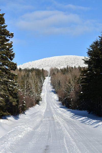 A country road in winter by Claude Laprise