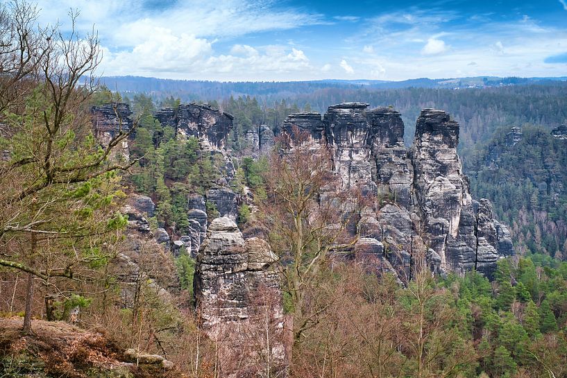 Felsen im Elbsandsteingebirge an der Bastei von Martin Köbsch