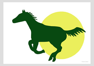 Pferd - Freund - Sonne