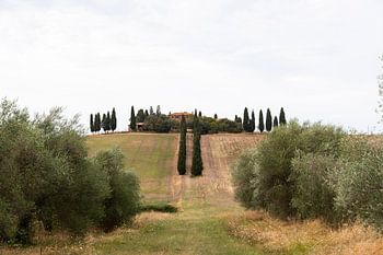 Typische italienische Villa auf einer Anhöhe