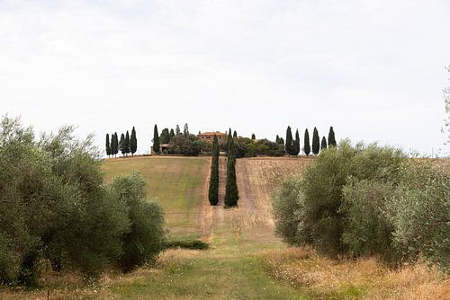 Typical Italian villa on top of a hill