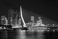 Erasmus Bridge