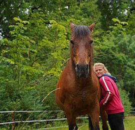 Trakehner Feldmeyer mit Besitzerin  auf der Weide