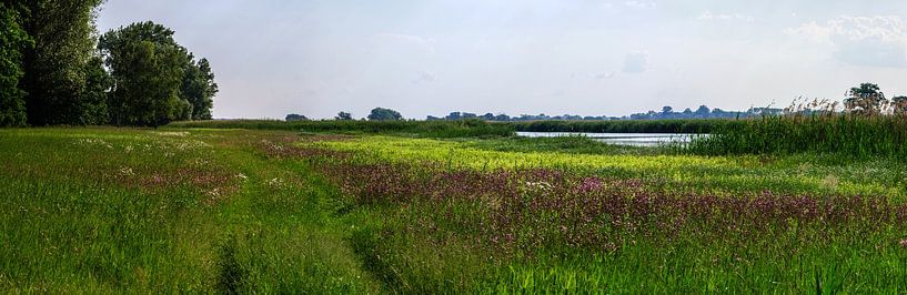 Wiese am Fluss von georgfotoart