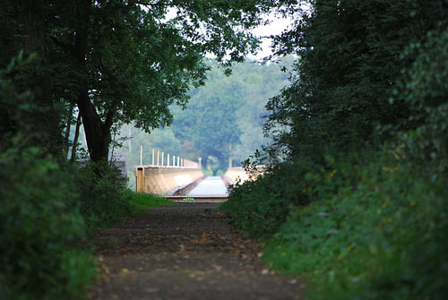 Sentier forestier paisible menant au pont
