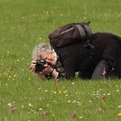 Nel Talen profielfoto