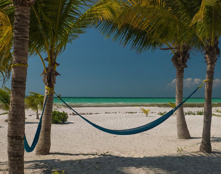 Hammock between palm trees by the sea by Moniek van Rijbroek