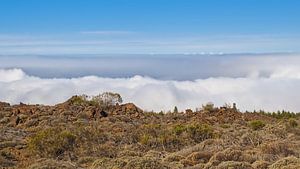 Weg über den Wolken. Teide-Nationalpark, Teneriffa