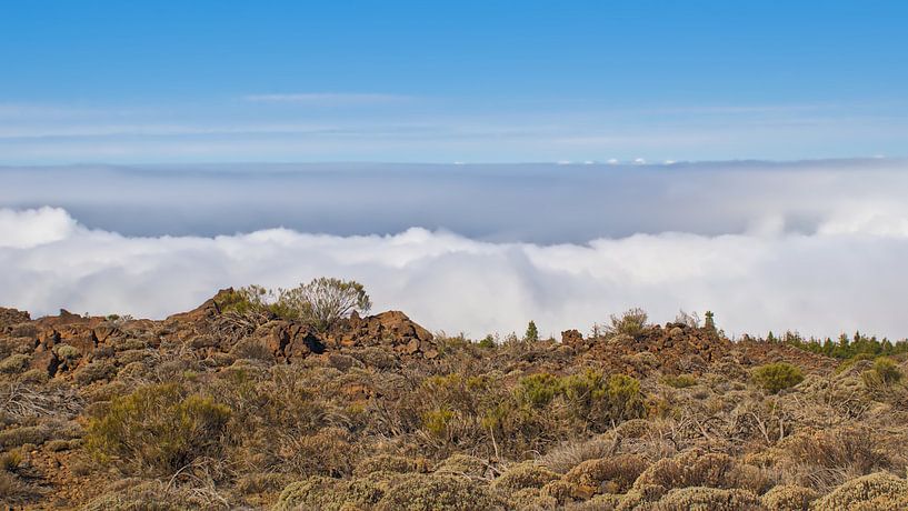 Path above the clouds. Teide national park, Tenerife by Kristof Lauwers