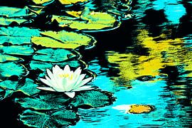 a white water lily in the pond mixed media by Werner Lehmann