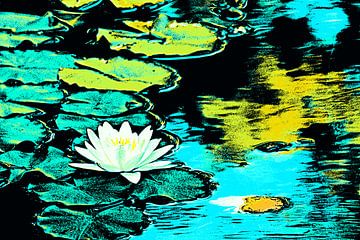 a white water lily in the pond mixed media