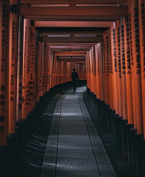Unterwegs in Kyoto von fernlichtsicht