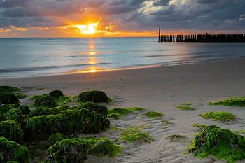 spektakulärer Sonnenuntergang am Strand von Zeeland mit den typisch niederländischen Wellenbrechern