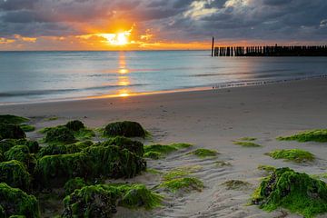 spectaculaire zonsondergang op het Zeeuwse strand met de typische Nederlandse golfbrekers van Kim Willems
