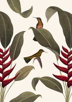Heliconia Off-White