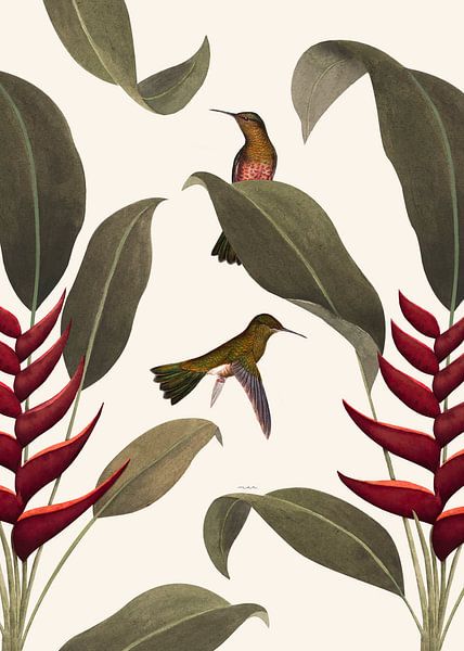 Heliconia gebroken wit van MAR Illustrations and Design