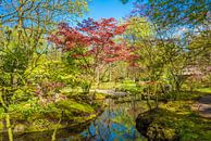 Japanse tuin van Fred Leeflang thumbnail