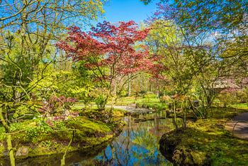 Japanse tuin