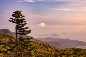 Lantau Island by Pascal Deckarm