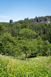Blühende Sommerwiese und hoch aufragende Felsen von Adriana Müller