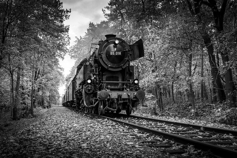 Autumn Train in Black and White von Raymond Voskamp