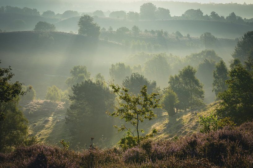 Warmth van John Goossens Photography