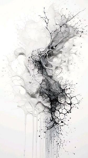 Fractured Silence by Attaya Puspanjali