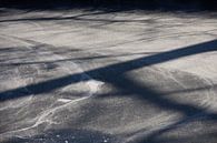 Shadows on ice by Renske van Lierop thumbnail