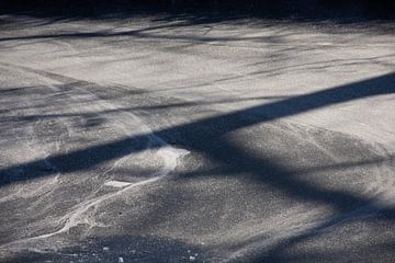 Schatten auf dem Eis von Renske van Lierop