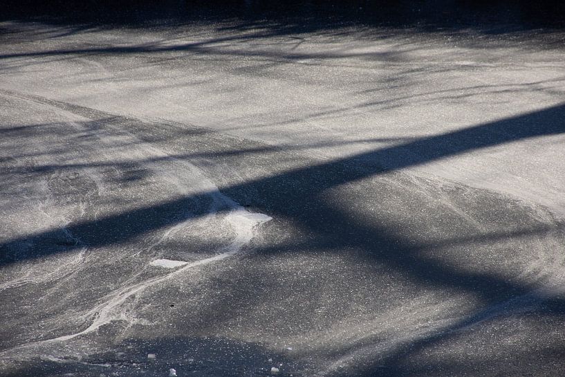 Shadows on ice by Renske van Lierop