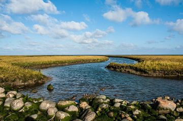 vasières au danemark sur Geertjan Plooijer