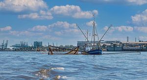 Hamburg - Pêcheur de l'Elbe