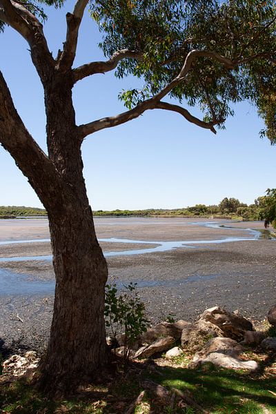 Gezeiten von Eric van Duijn