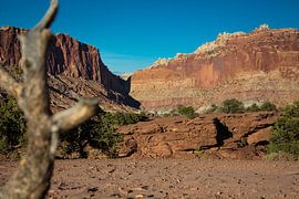 Le silence de la nature sur De wereld door de ogen van Hictures