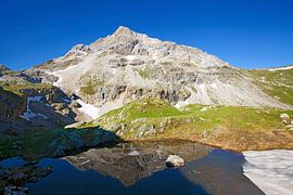 The Faulkogel is reflected in a lake by Christa Kramer