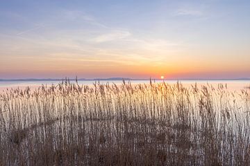 Achterwasser by Sven-Erik Arndt