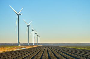 Moderne Windkraftanlagen im Flevopolder