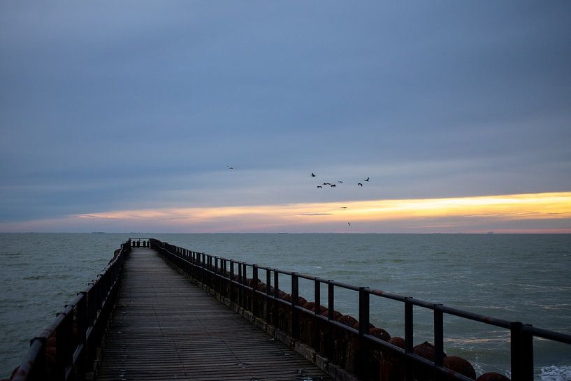 Sunset with a jetty and birds by Eugenlens