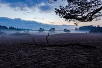 Sandverwehung