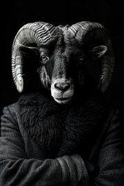 Wild Suits - Aries by Philippe HUGONNARD