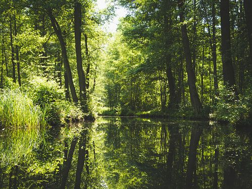 Spreewald par un jour d'été