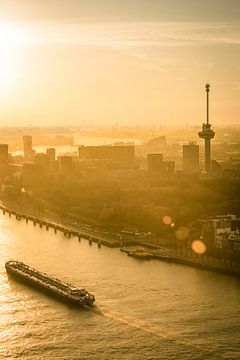 Euromast in Rotterdam bei Sonnenuntergang über der Maas von Sjoerd van der Wal Fotografie