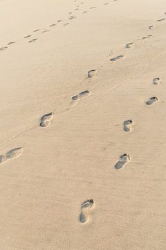 Voetafdruk in het zand - Wandeling op het strand in Mexico - Voeten in het zand van Franci Leoncio