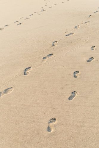 Fußabdruck im Sand - Spaziergang am Strand in Mexiko - Füße im Sand - walking on the beach - Puerto 